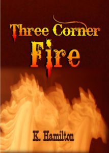 THREE CORNER FIRE